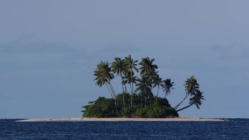 View of a small island with a tropical biome surrounded by moving sea