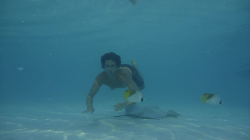 A man diving into the crystal clear sea with fish and rays