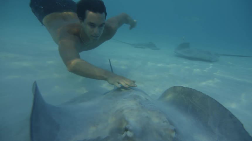 A man swimming along the bottom chasing a stingray and reaching out to touch it