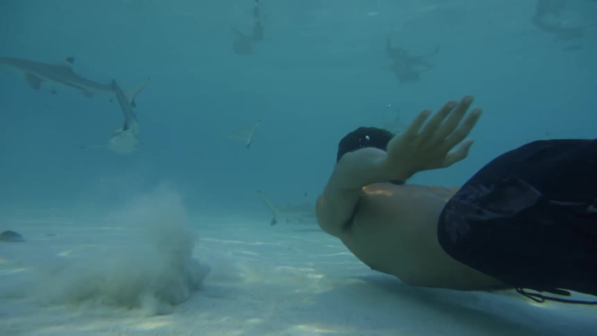 Young man diving into crystal clear waters and spotting sharks