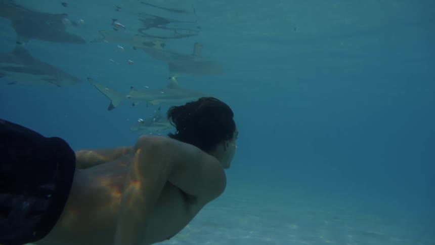 A man dives with sharks in the blue sea