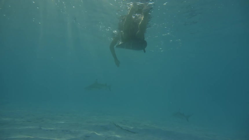 A man laying on a surf board is swimming towards the wave from under water with sharks swimming by