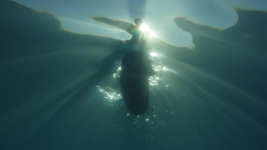 View from inside the sea of a surfboard with a person on top and sunlight reflections