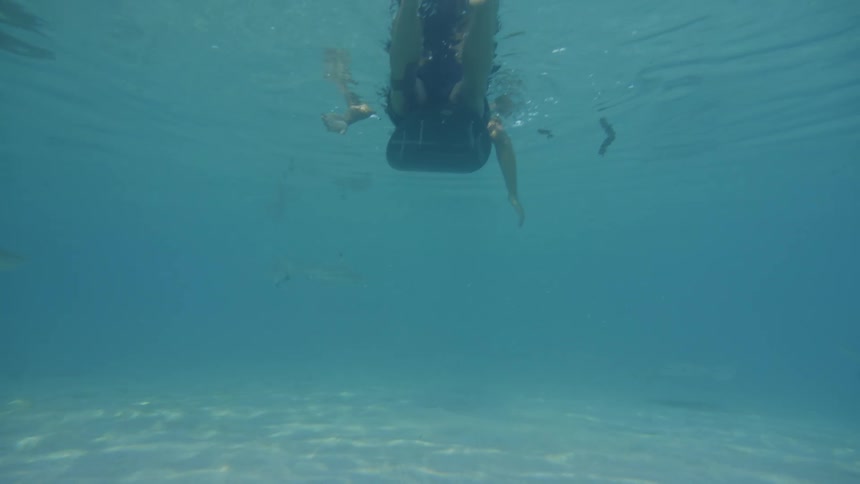View from inside a clear sea with rays sharks and a person swimming on a surfboard