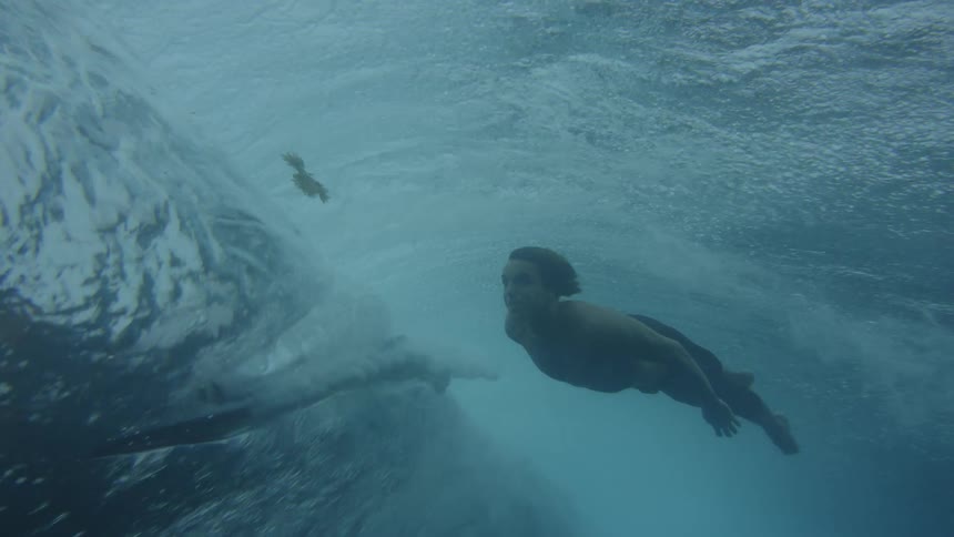 A man diving into a blue sea in the ocean