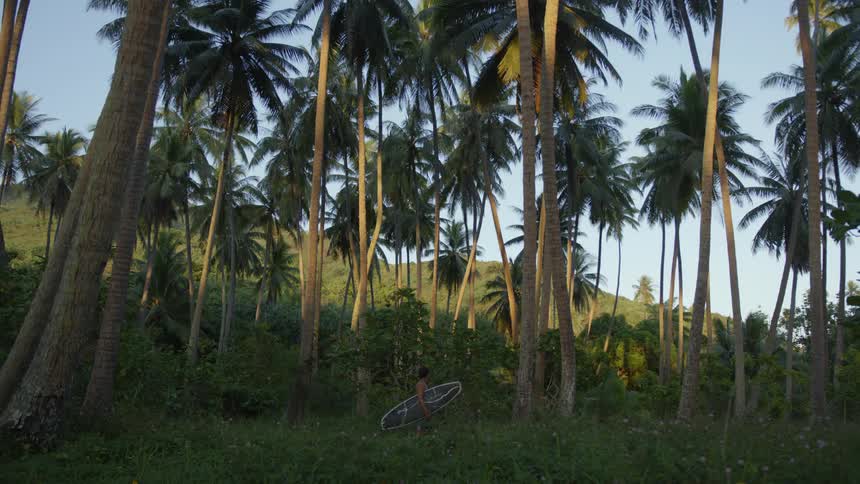 Man holding his surfboard and observing nature in an environment with plants and palm trees