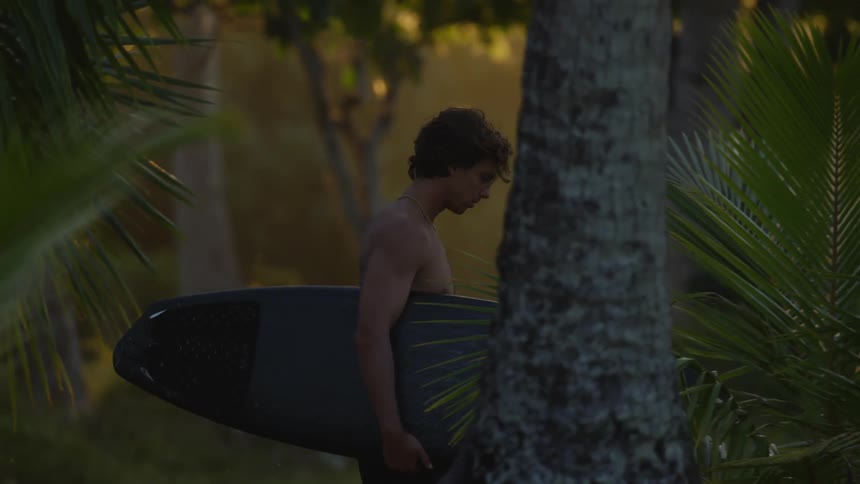 A man is walking past the palm trees with a surfboard