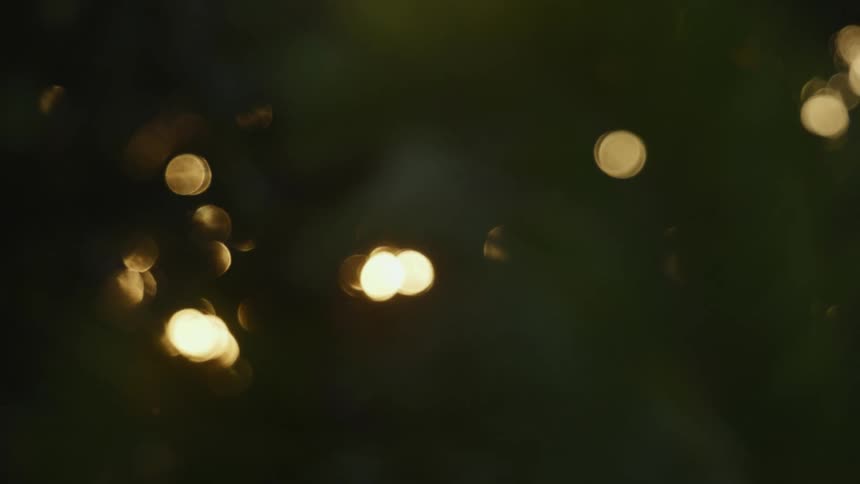 Out of focus city lights at night