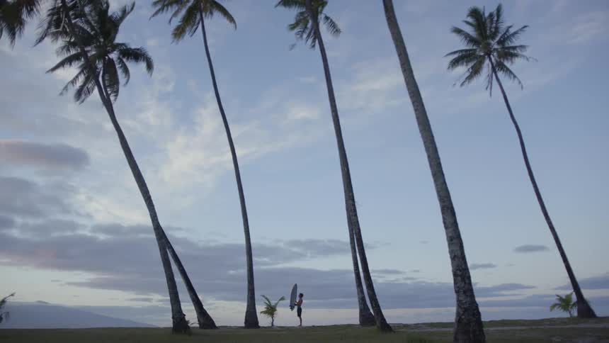 A man walks past palm trees with a surfboard