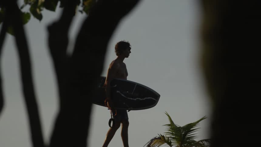 A man carrying a surf board as he walks on the beach where there are trees and palm frond during dawn