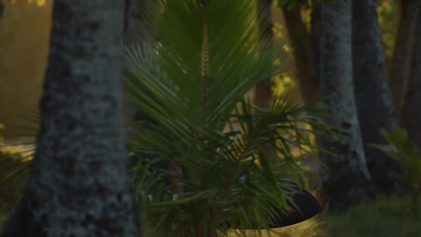 A man wearing shorts walking through the tropical rain forest while holding a surf board