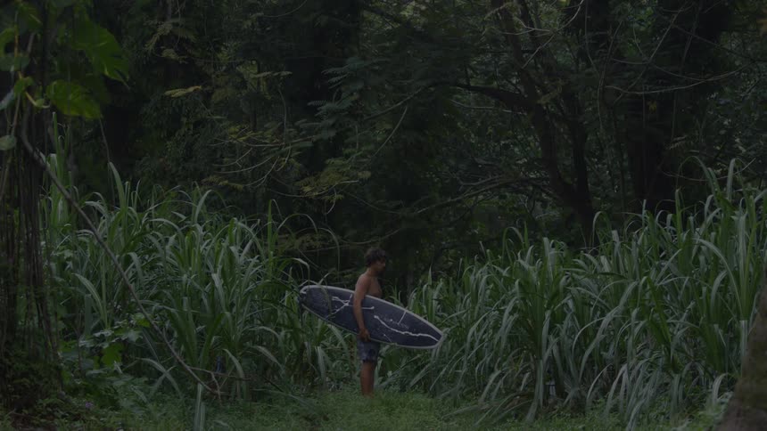 A man carrying a surf board is standing in the rain forest looking and surrounded by tall grasses