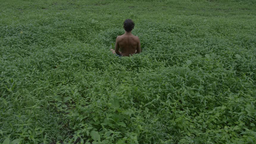 Man sitting in a plantfilled environment in a yoga meditation pose