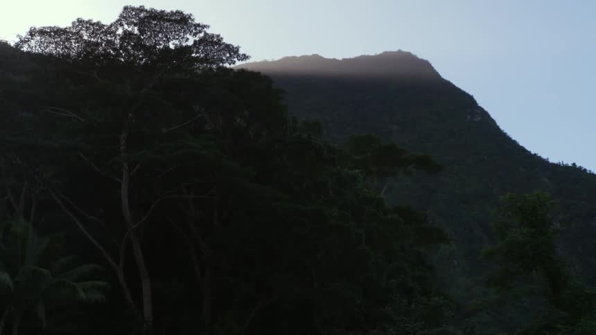 View of a natural biome rich in vegetation with a mountain range in the background and sunlight rays
