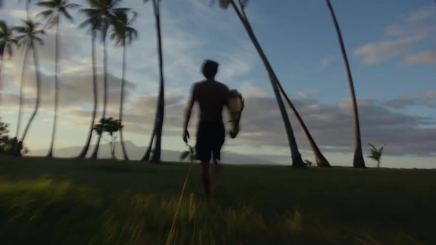 A man holding a surf board while walking towards the palm beach with palm trees around