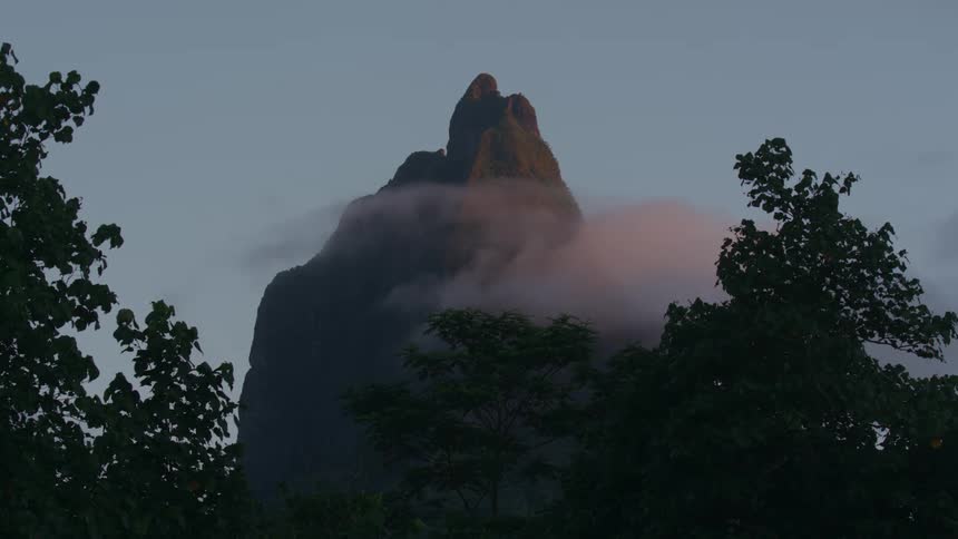 View of green trees with a massive mountain in the background featuring cliffs and mist around it