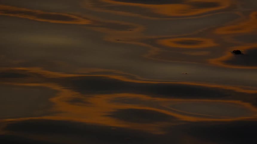 The setting sun is reflecting on the water