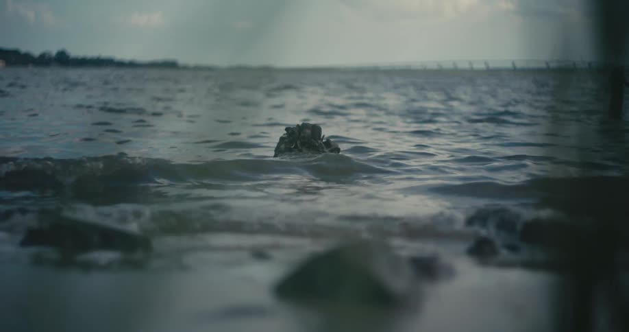Small rocks on the shoreline of a lake at daytime