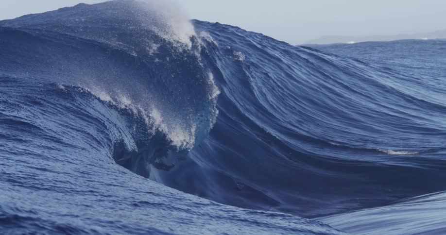 Formation and culmination of a wave