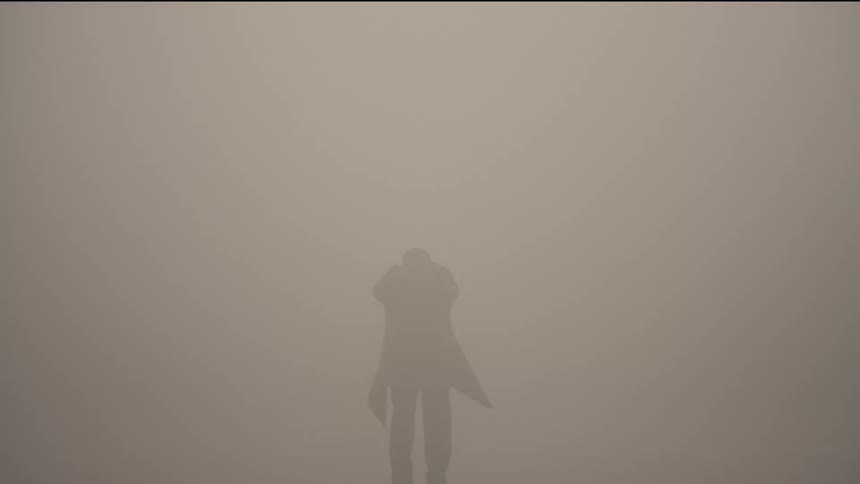 A person wearing a coat is walking towards a dense fog