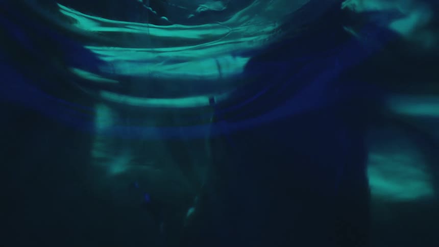 Teal ripples silhouette and shadows