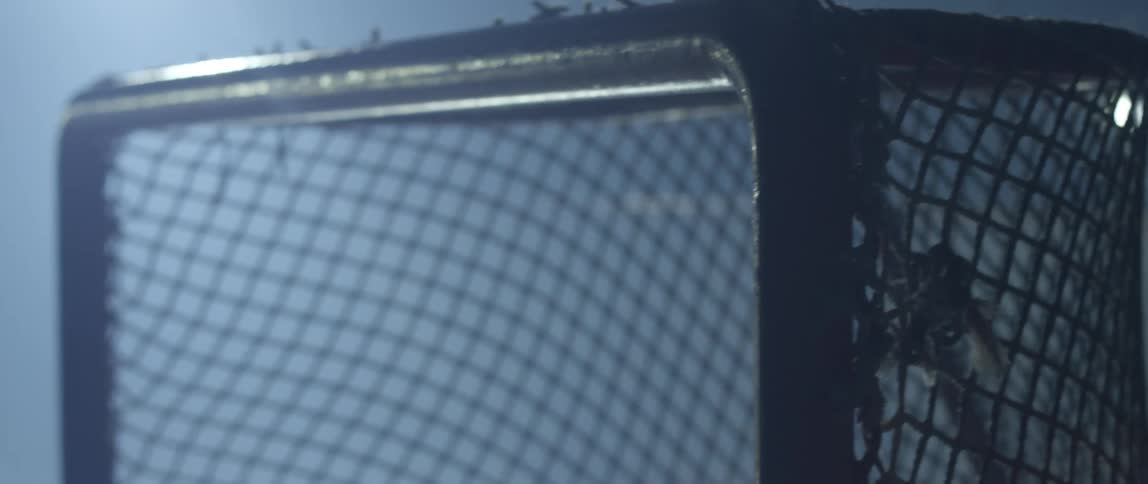 Ice hockey puck goes into the net