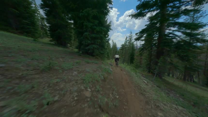 Man mountain biking in an outdoor environment with coniferous trees and mountains around