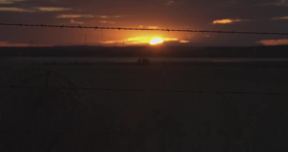 The sun rising over the horizon with a barbed wire fence along a field as grass blows in the wind