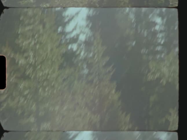 A man is hiking in the woods