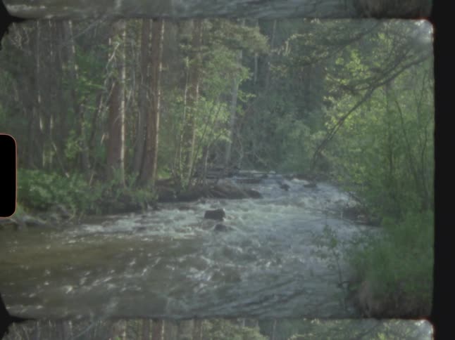 A flowing river in the middle of the forest during a cloudy day