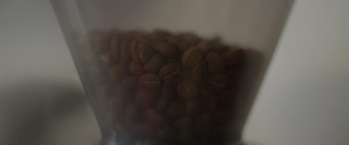 Coffee beans inside a shaking container