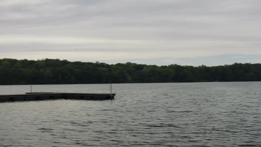 Bird flying over a body of water all the way to the land passing by a dock outdoors during day time