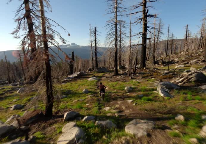 A man in the midst of nature engaging in the sport of mountain biking