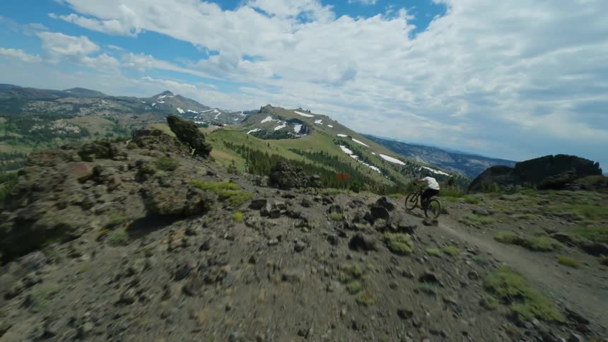 Man mountain biking in an environment with trees and rocks
