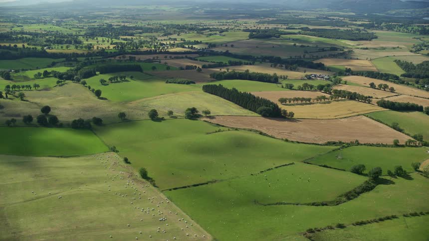Tree lines divide plots of land in a rural community