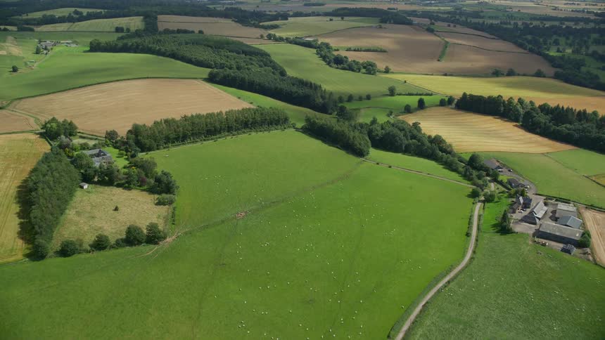 Homes sit on farms on adjacent plots