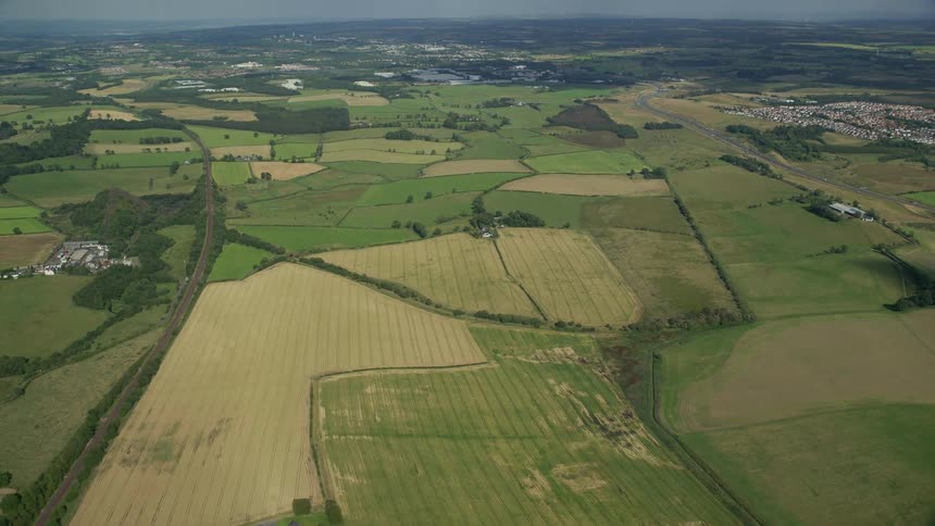 An aerial view of a plantation field in a rural area