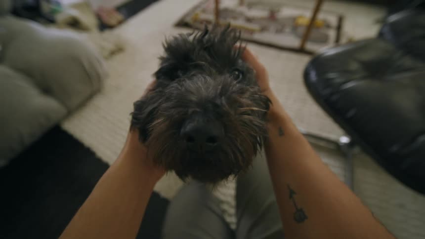 A person playing with his pet dog in the living room
