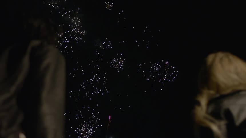 People watch fireworks explode in a night sky