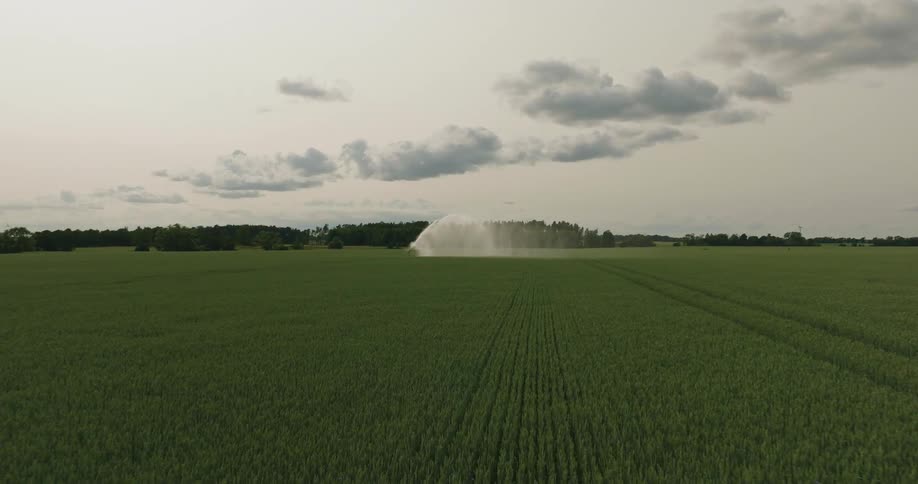 A sprinkler is running on the farm
