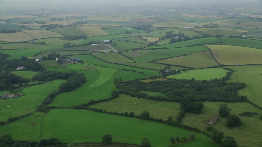 Aerial view of green fields and pastures