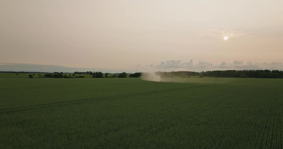 A machine splashing water on a plantation for irrigation