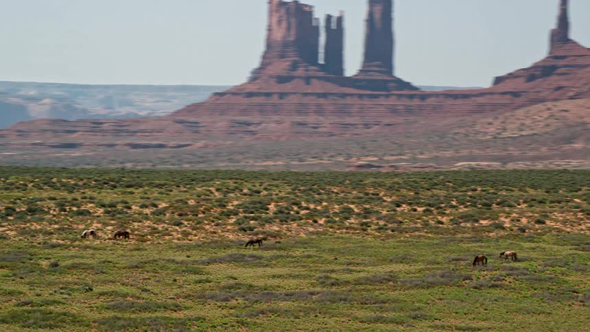 Aerial view of horses grazing in the green grass next to the badlands