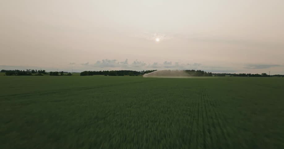 Field with agricultural crops and machinery watering in the background