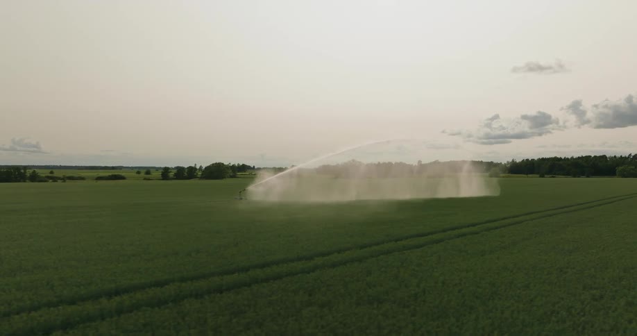 Sprinkler sprays water in the middle of a green field