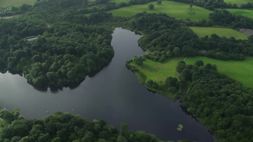 Aerial view of a river surrounded by a forest with some residences nearby