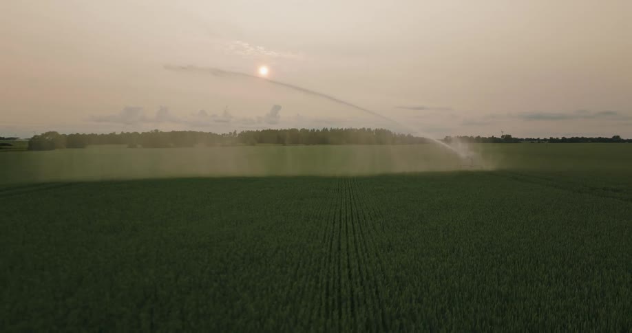 A machine splashing water on a plantation for irrigation