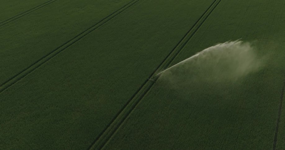 Sprinkler sprays water in the middle of a green field