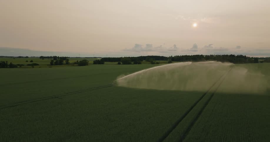Large scale automatic sprinkler waters crop field on cloudy day