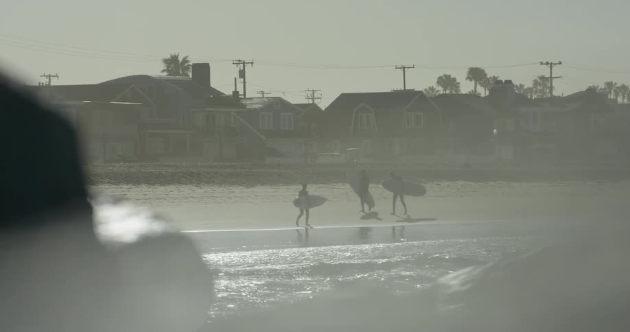 Several people walk on the beach holding surfboards
